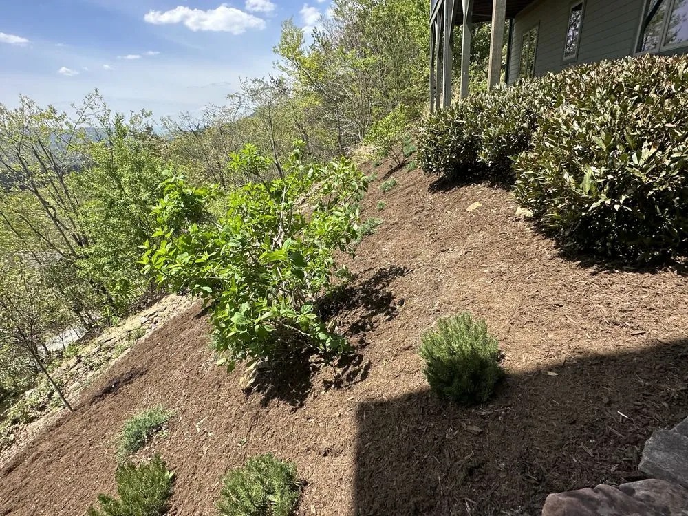 Local residential landscaping experts serving Asheville, NC - Exterior Solutions Asheville