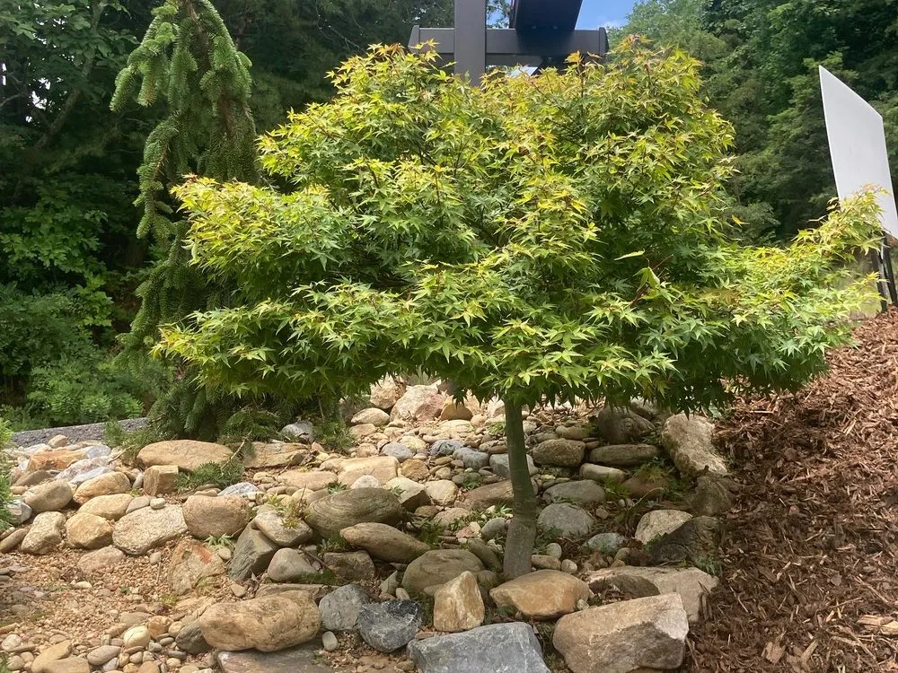 Trusted landscape installation near you across Asheville, NC - Exterior Solutions Asheville