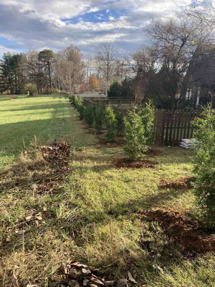 Local residential landscaping experts serving Asheville, NC - Exterior Solutions Asheville