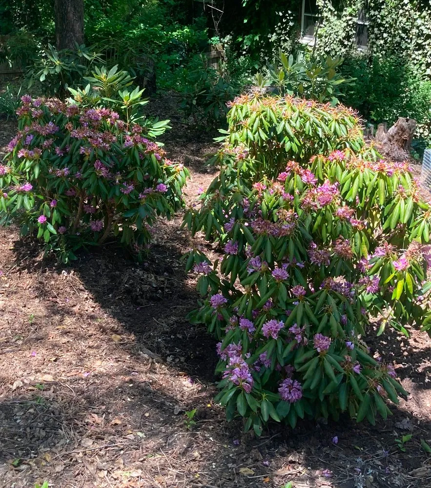 Trusted lawn mowing service experts serving Asheville, NC - Exterior Solutions Asheville