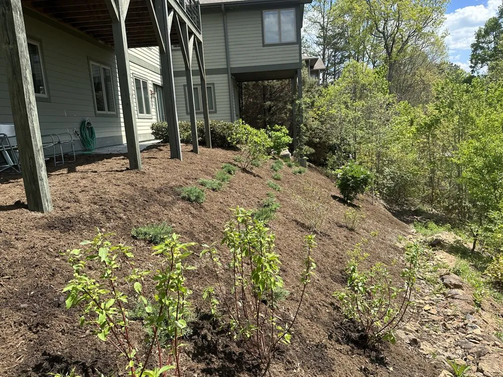 Top-rated landscape installation with custom design across Asheville, NC - Exterior Solutions Asheville