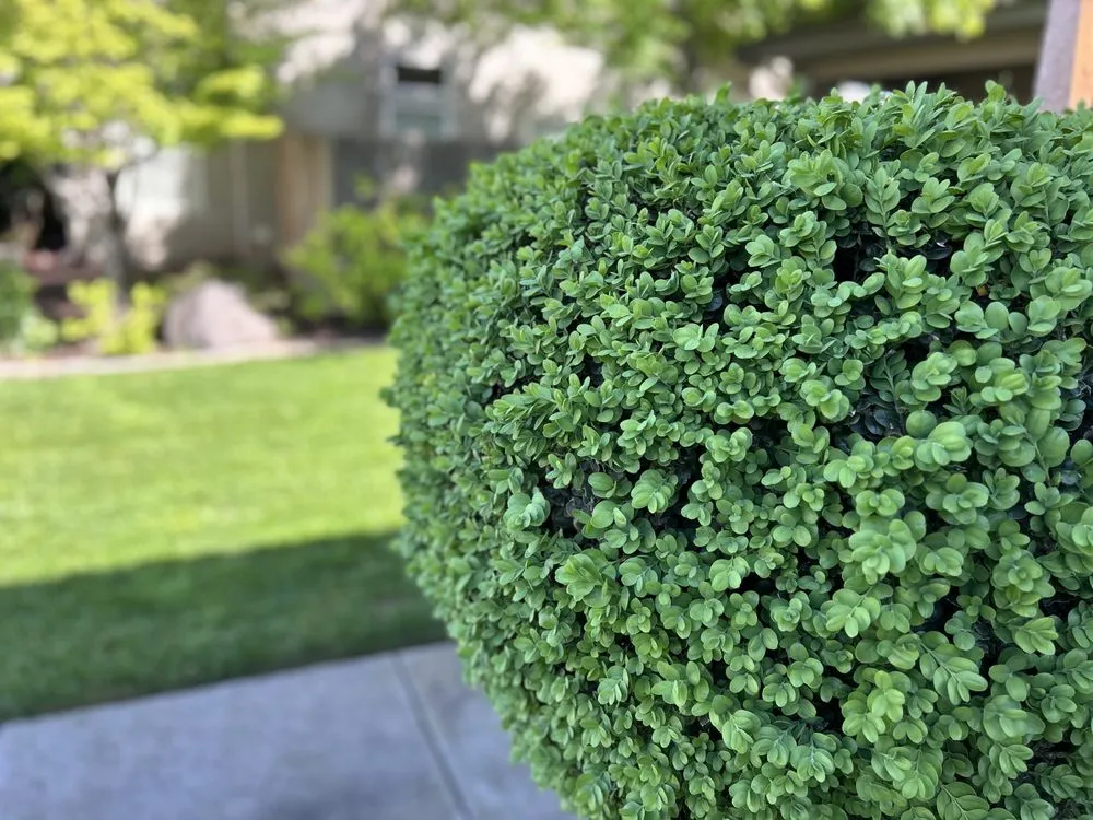 Affordable outdoor landscaping for outdoor upgrades across Turlock, CA - Exterior Solutions Lawn and Landscape