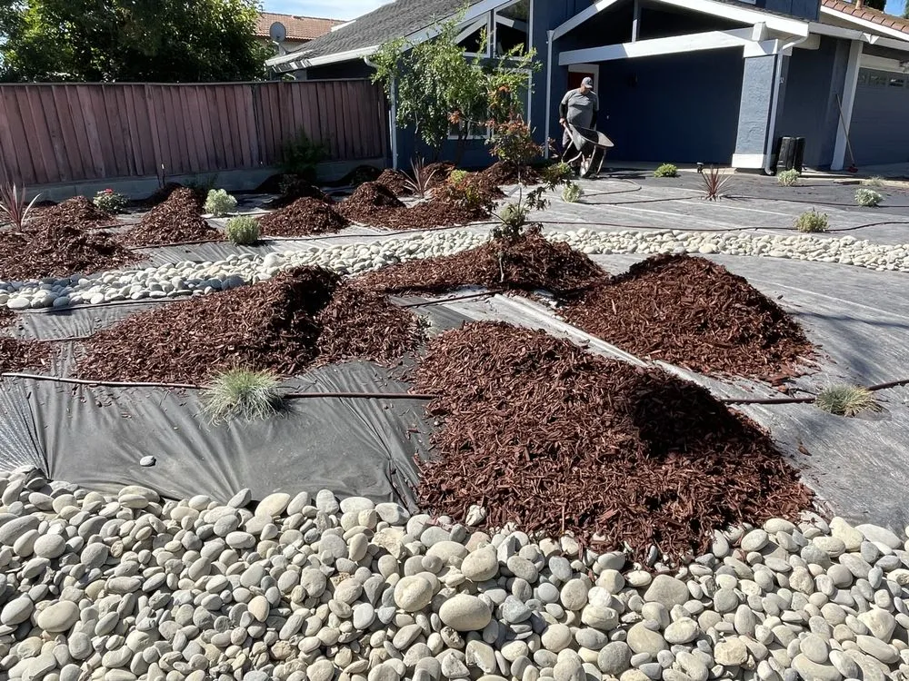 Affordable lawn care service with custom design in Turlock, CA by Exterior Solutions Lawn and Landscape