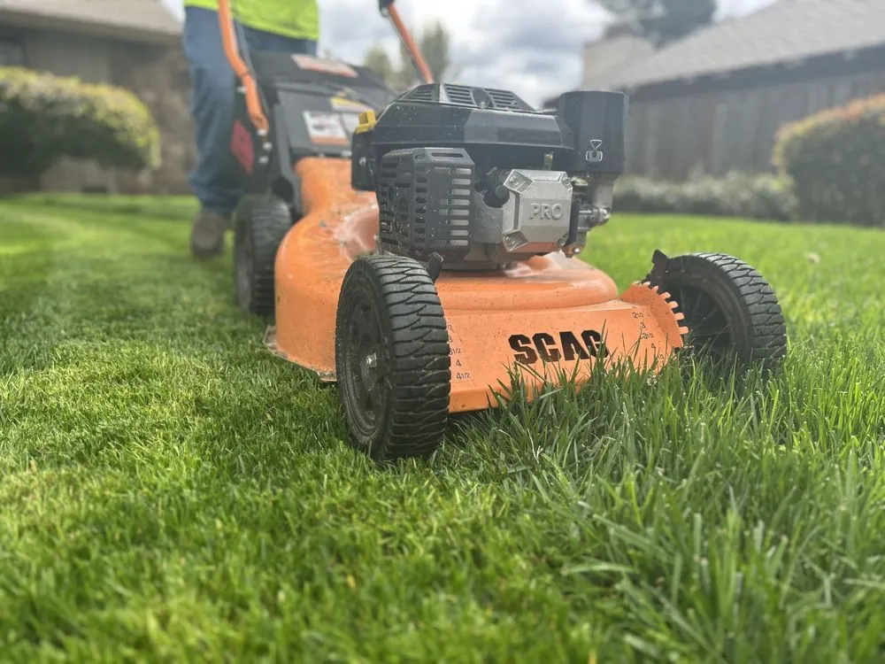 Local lawn care service experts serving Turlock, CA - Exterior Solutions Lawn and Landscape