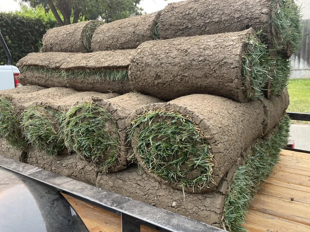 Local lawn mowing service experts serving Turlock, CA - Exterior Solutions Lawn and Landscape