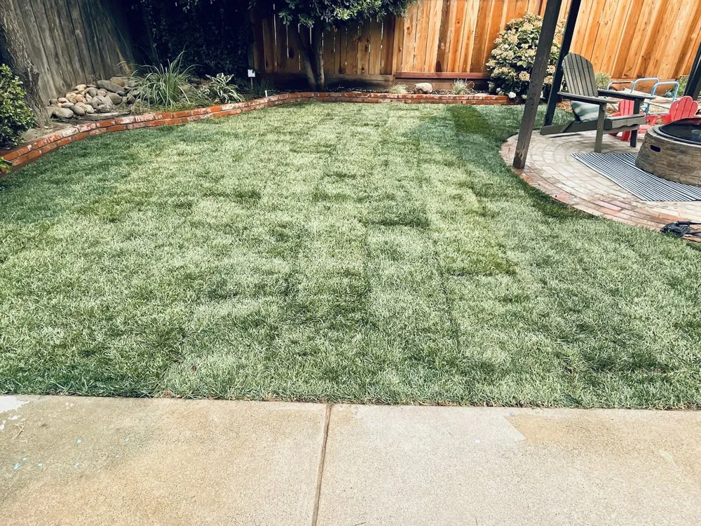 Top-rated garden landscaping in Turlock, CA - Exterior Solutions Lawn and Landscape