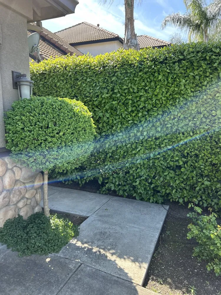 Reliable lawn care service for outdoor upgrades across Turlock, CA - Exterior Solutions Lawn and Landscape