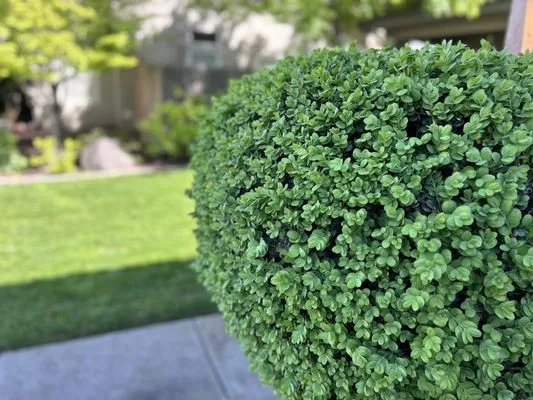 Exterior Solutions Lawn and Landscape Logo