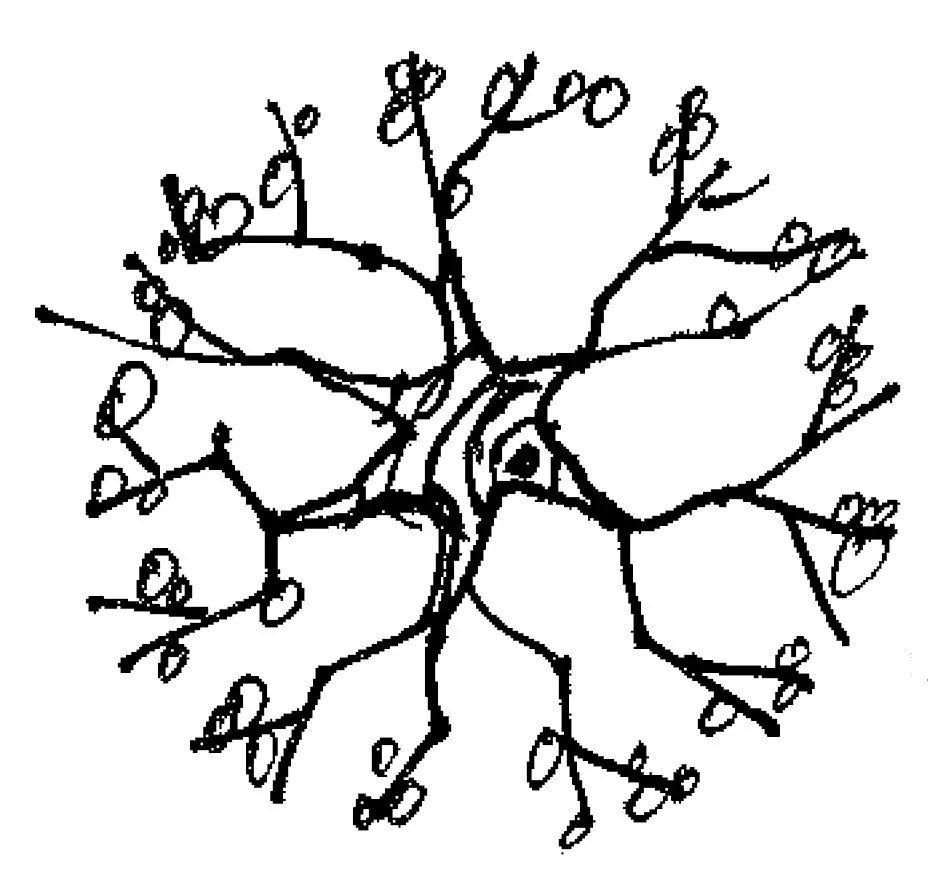 Top-rated landscaping services near you in Tigard, OR by Exterior Spaces LLC