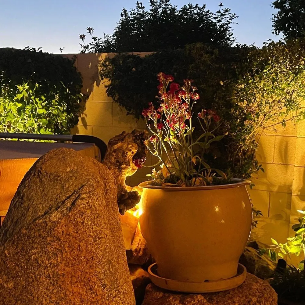 Trusted lawn care service for year-round maintenance across Phoenix, AZ - Exterior Tech Services