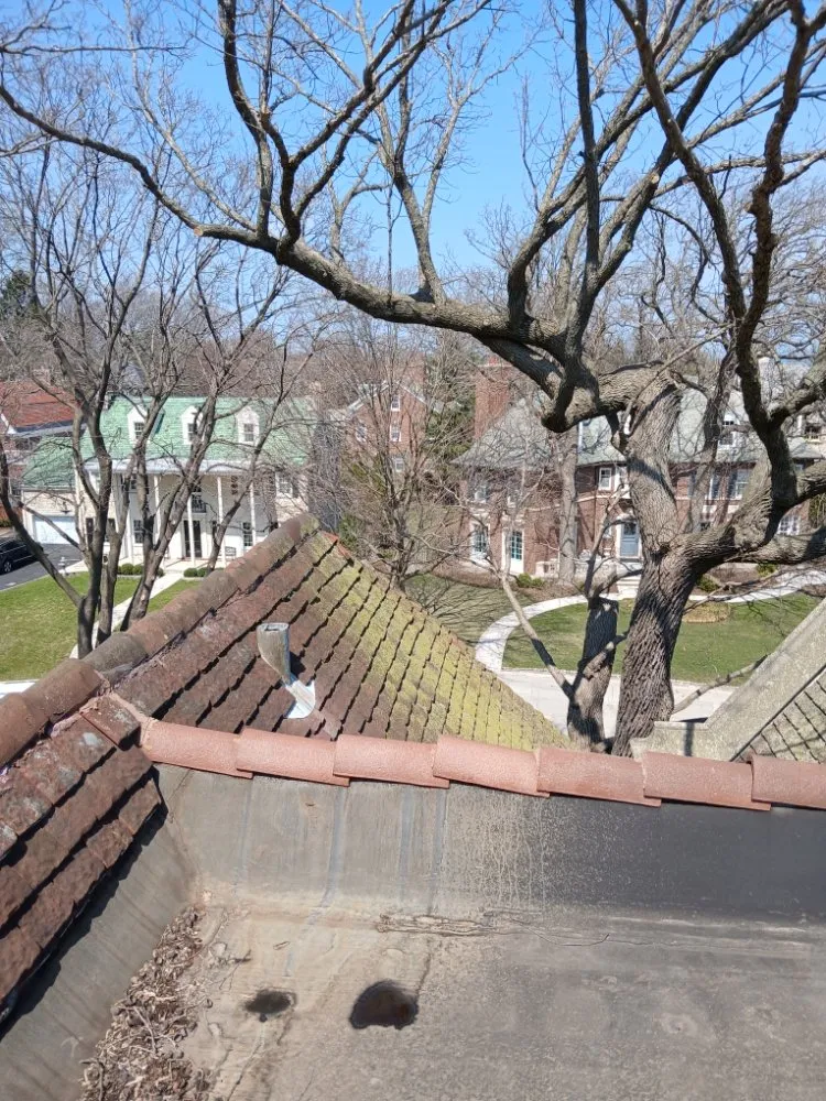 Reliable outdoor landscaping for beautiful yards in McHenry, IL by Exterior Upkeep Solutions