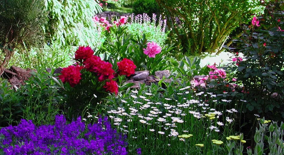 Local garden landscaping for year-round maintenance across Ridgefield, CT - Exteriors