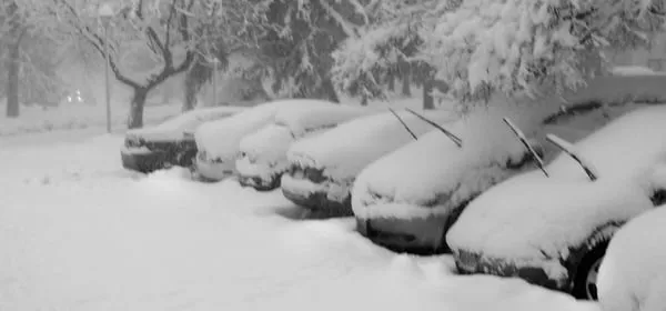 Exteriorscape Services