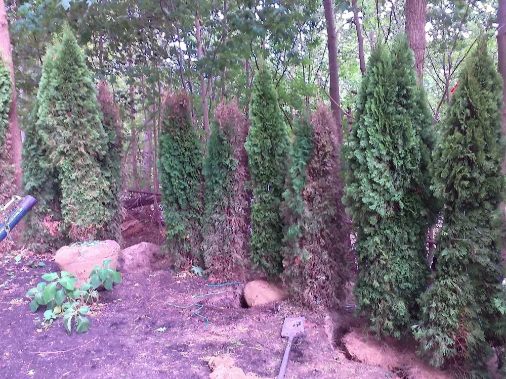 Top-rated landscape installation in Milton, MA by Exteriorscape Services