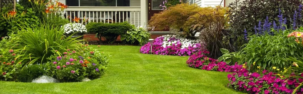Professional yard maintenance in Milton, MA - Exteriorscape Services