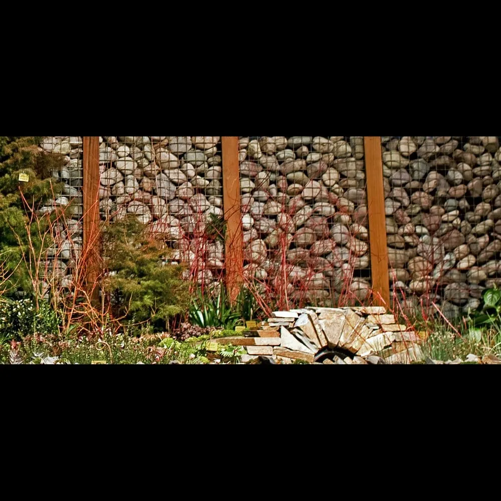 Expert residential landscaping in Seattle, WA - Exteriorscapes