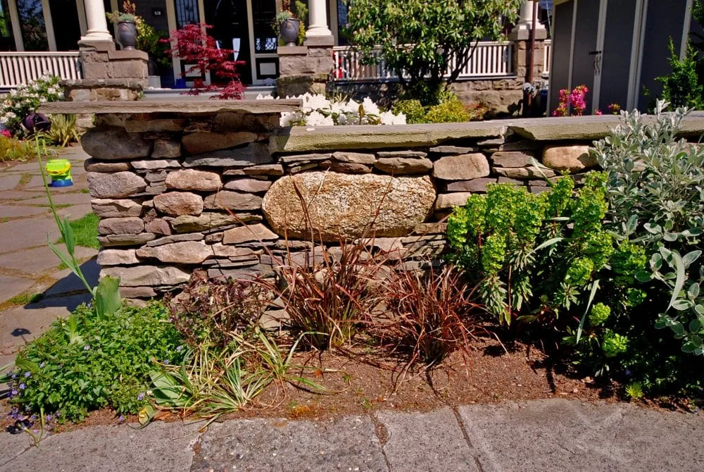 Trusted lawn care service in Seattle, WA - Exteriorscapes