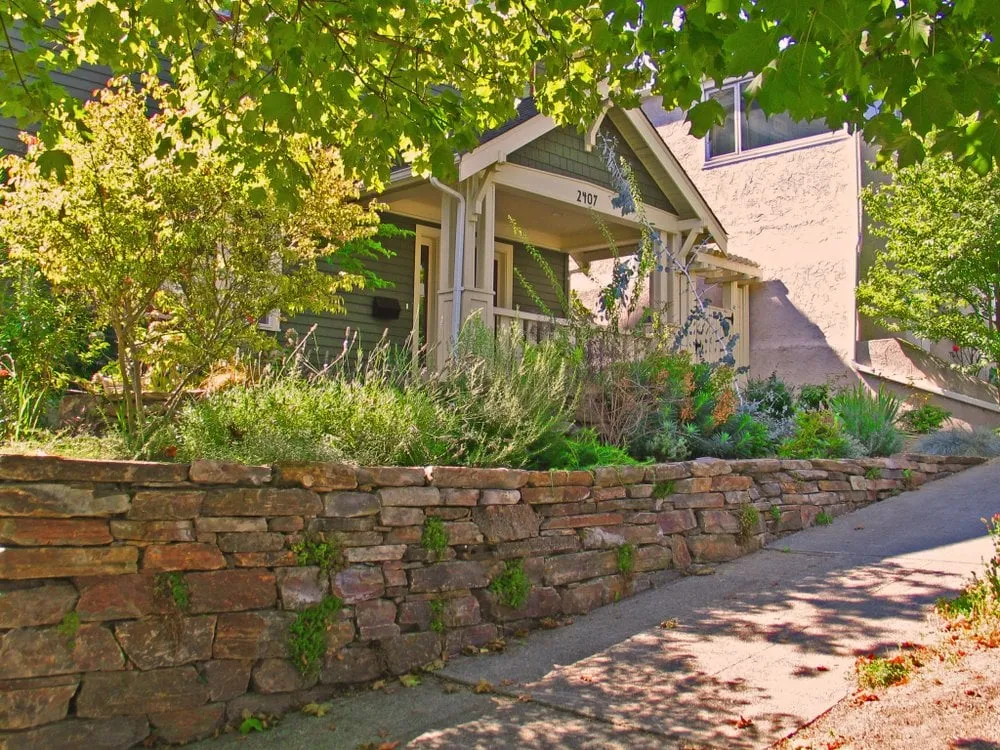 Expert yard maintenance in Seattle, WA by Exteriorscapes