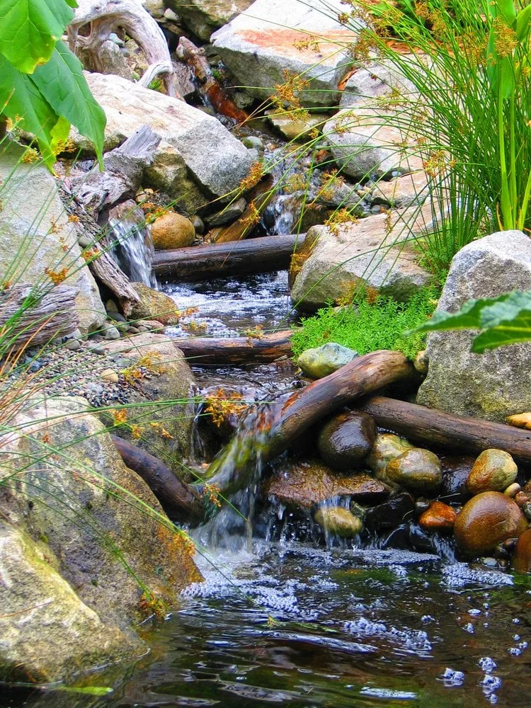 Custom yard cleanup service in Seattle, WA - Exteriorscapes