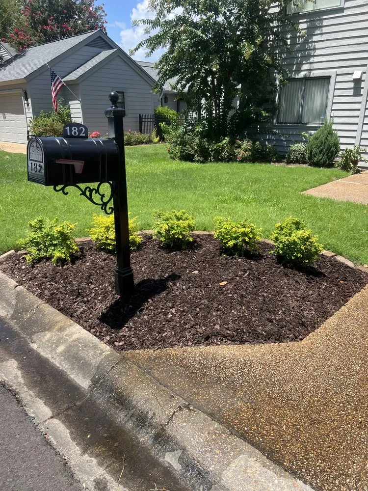 Expert lawn mowing service with custom design across Brandon, MS - External Service Solutions