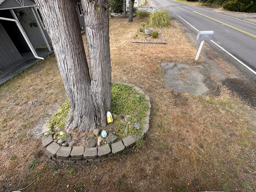 Local lawn care service for residential properties in Florence, OR by Exterus Property Solutions