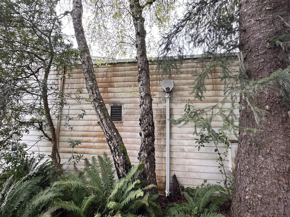 Local lawn care service for beautiful yards across Florence, OR - Exterus Property Solutions