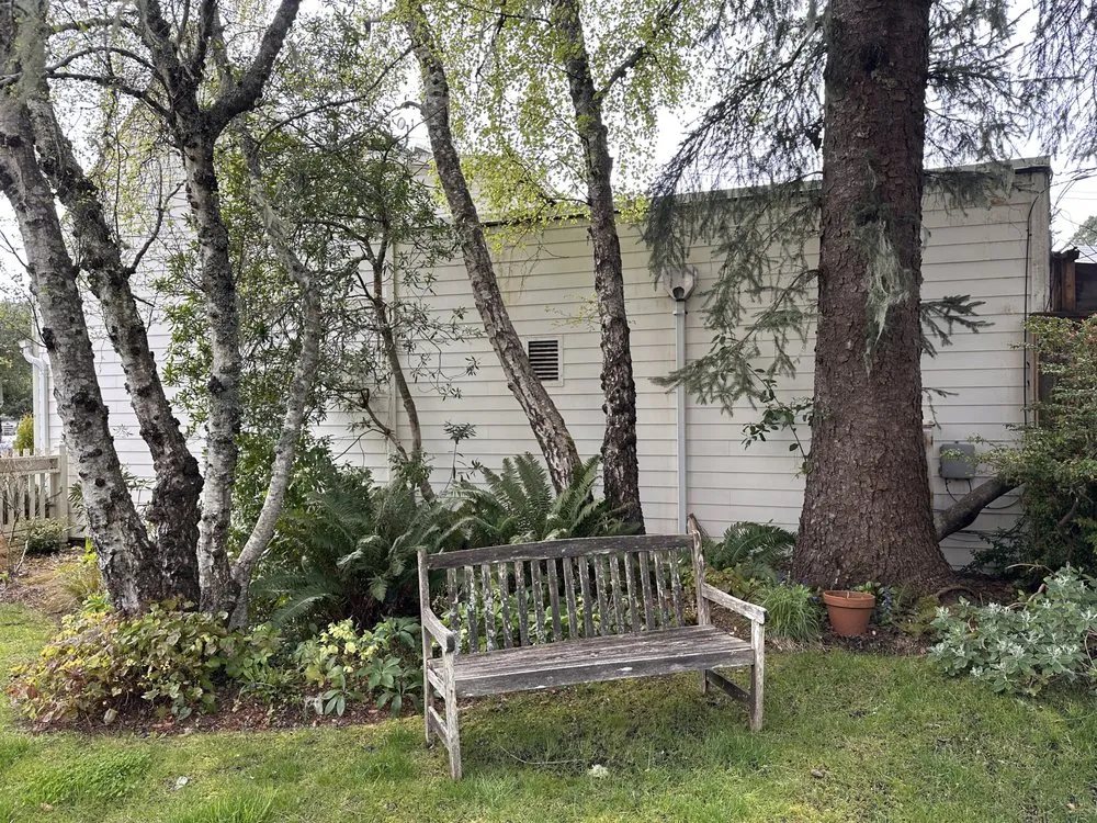 Custom yard cleanup service near you across Florence, OR - Exterus Property Solutions