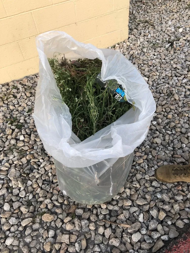 Custom lawn care service for residential properties across Fort Hood, TX - Extra Duty