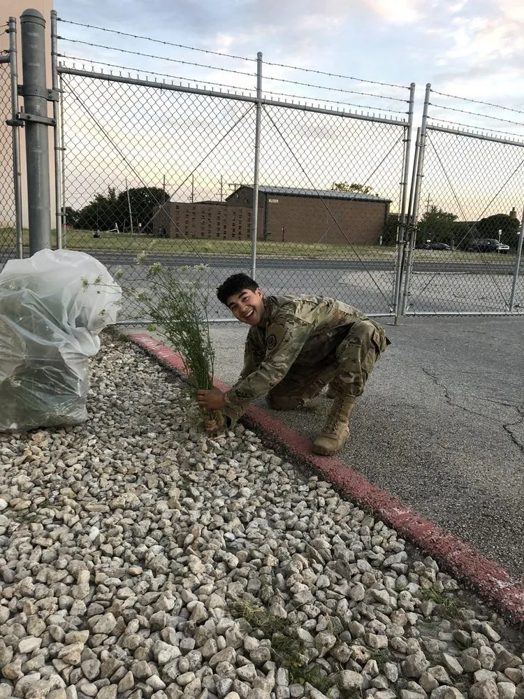 Top-rated residential landscaping in Fort Hood, TX by Extra Duty