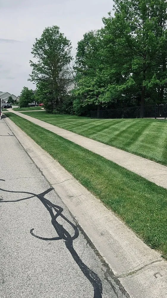 Affordable landscape design in Indianapolis city, IN by Extra Green Grass