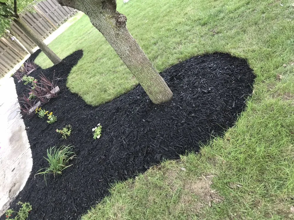 Custom yard maintenance for outdoor upgrades across Indianapolis city, IN - Extra Green Grass