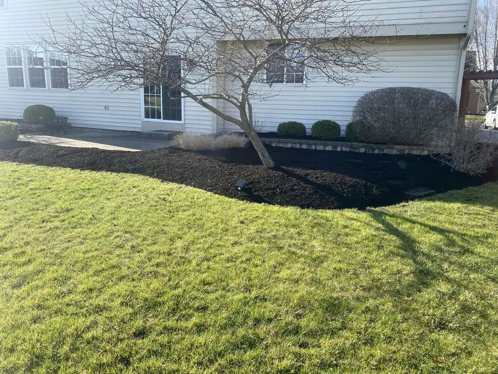 Affordable landscape installation in Indianapolis city, IN - Extra Green Grass