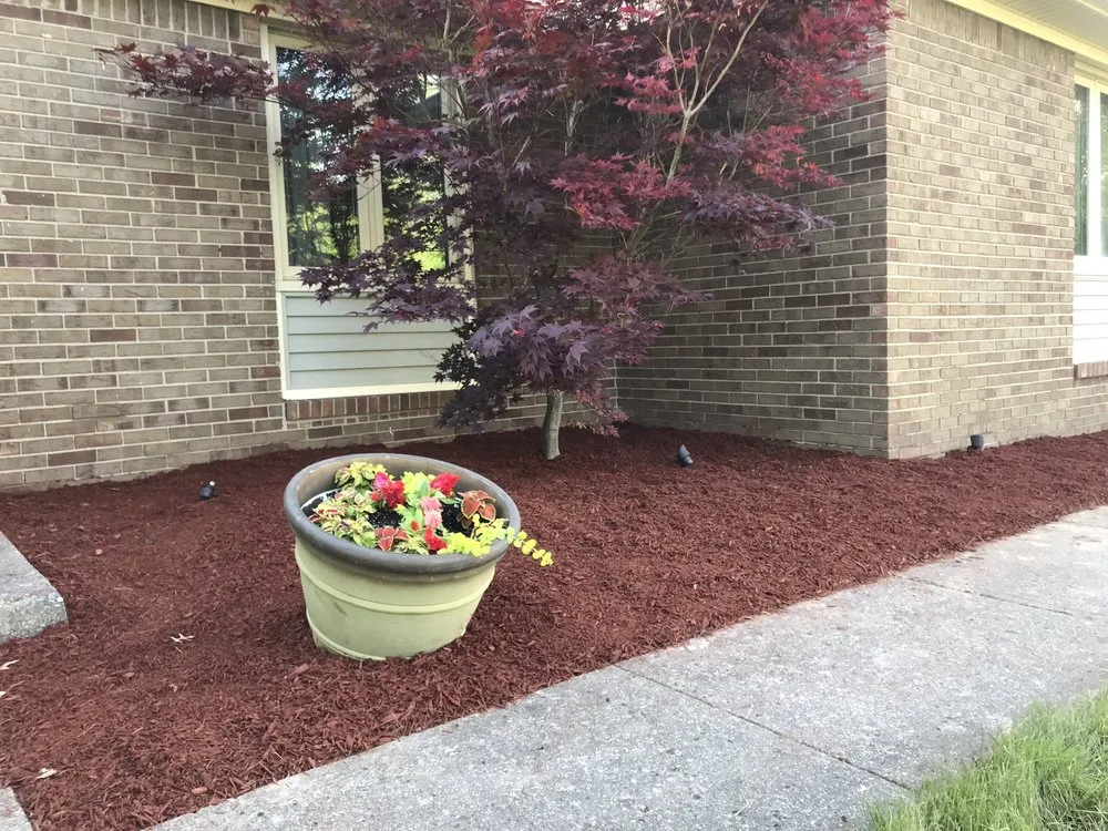 Trusted yard cleanup service in Indianapolis city, IN - Extra Green Grass