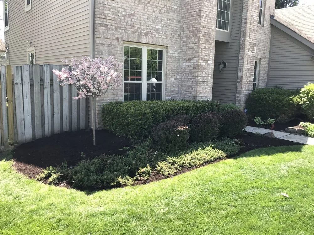Expert landscape installation in Indianapolis city, IN - Extra Green Grass