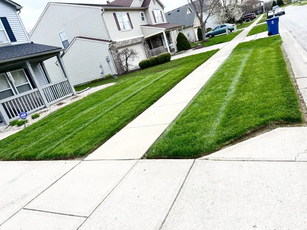 Custom yard cleanup service for outdoor upgrades across Indianapolis city, IN - Extra Green Grass