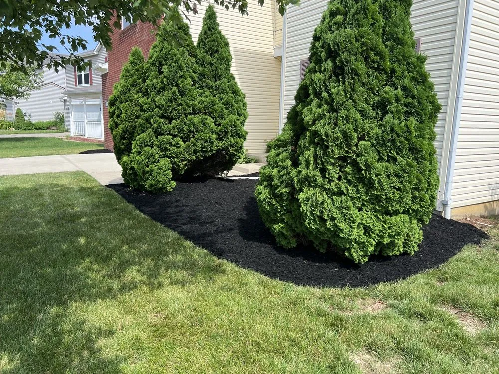 Top-rated landscaping services for year-round maintenance in Indianapolis city, IN by Extra Green Grass