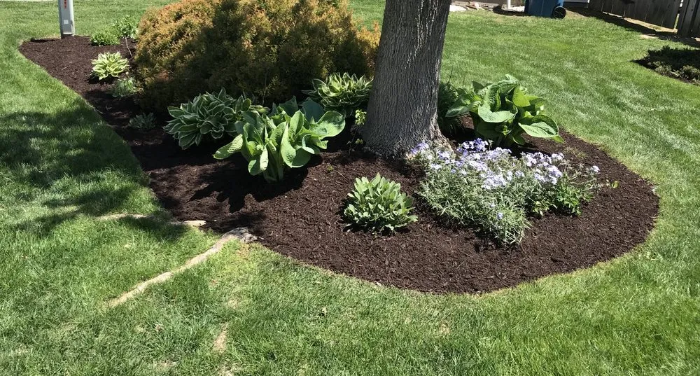 Professional yard cleanup service for outdoor upgrades across Indianapolis city, IN - Extra Green Grass