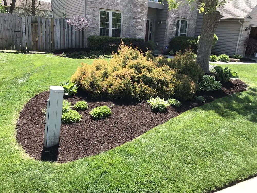 Affordable yard cleanup service in Indianapolis city, IN - Extra Green Grass