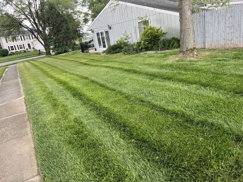 Reliable lawn care service in Indianapolis city, IN - Extra Green Grass