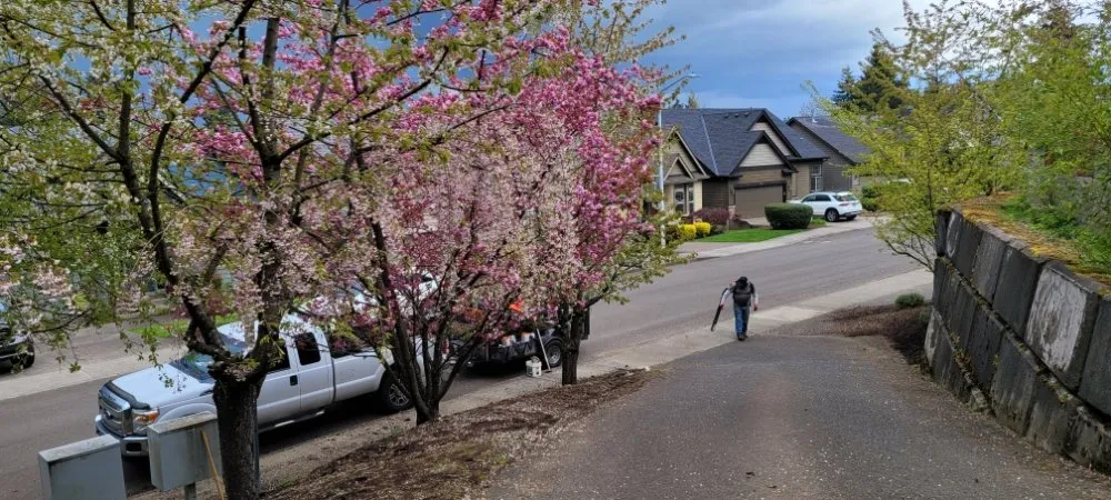 Expert lawn mowing service for year-round maintenance across Gresham, OR - Extra Hand Lawn Care