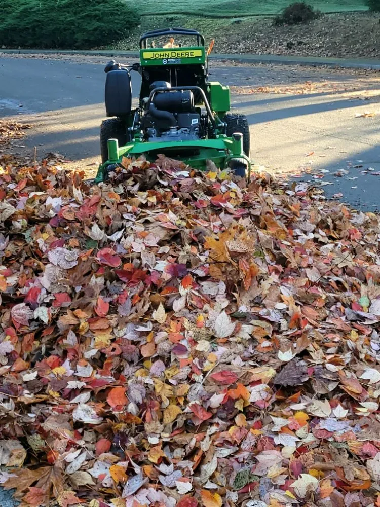 Professional lawn care service in Gresham, OR - Extra Hand Lawn Care