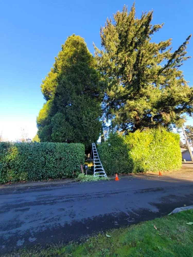 Expert outdoor landscaping experts serving Gresham, OR - Extra Hand Lawn Care
