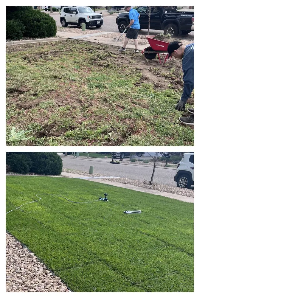 Reliable lawn mowing service in Colorado Springs, CO by Extra Mile Home Services