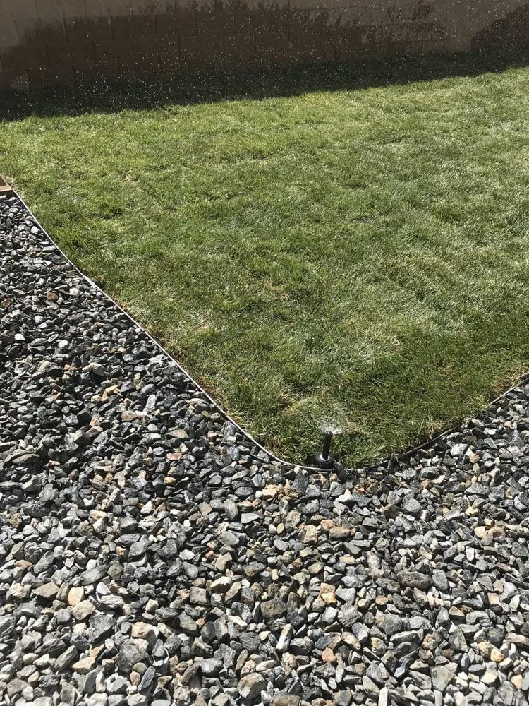 Local yard cleanup service with custom design in Colorado Springs, CO by Extra Mile Home Services