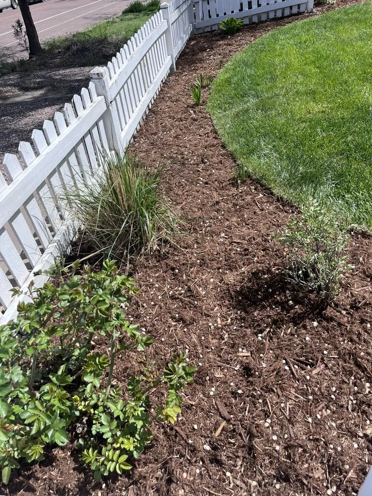 Expert lawn mowing service in Colorado Springs, CO - Extra Mile Home Services