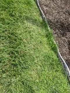 Affordable landscape design experts serving Virginia Beach, VA - Extra Mile Lawn Care