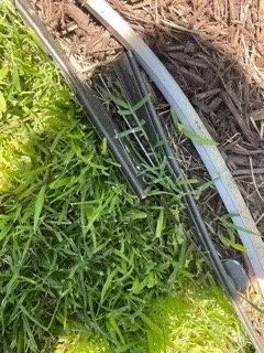 Professional lawn mowing service experts serving Virginia Beach, VA - Extra Mile Lawn Care