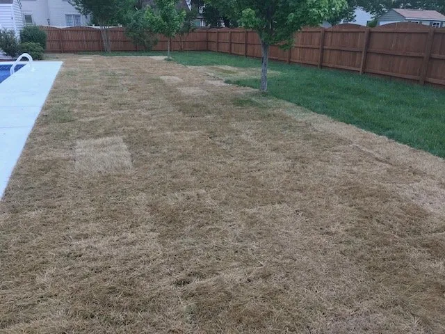 Professional outdoor landscaping with custom design across Virginia Beach, VA - Extra Mile Lawn Care