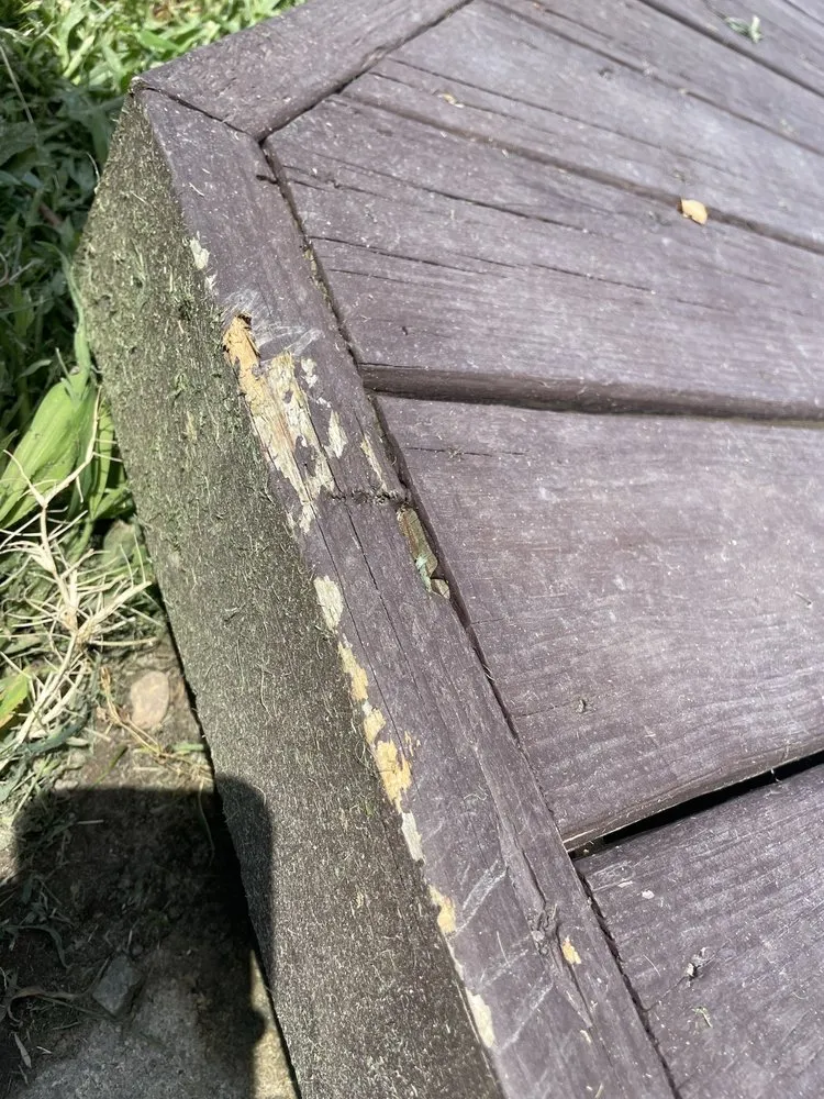 Professional lawn mowing service in Virginia Beach, VA by Extra Mile Lawn Care