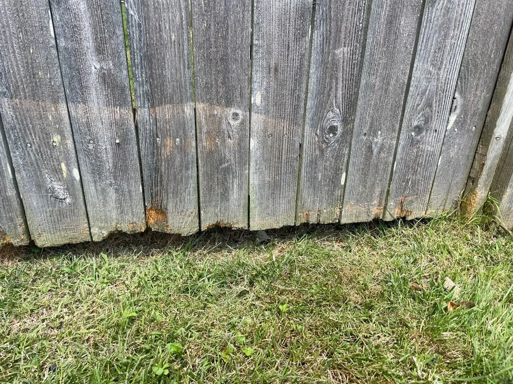 Professional yard maintenance for homes in Virginia Beach, VA by Extra Mile Lawn Care